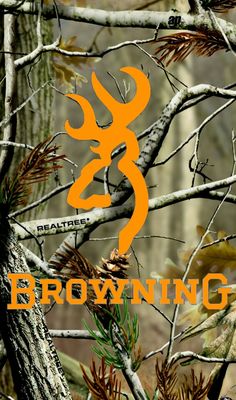 realtree iphone wallpaper,baum,tierwelt,schriftart,pflanze