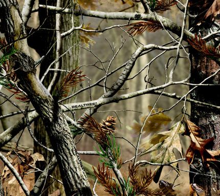 realtree iphone wallpaper,natur,baum,pflanze,tierwelt,zweig