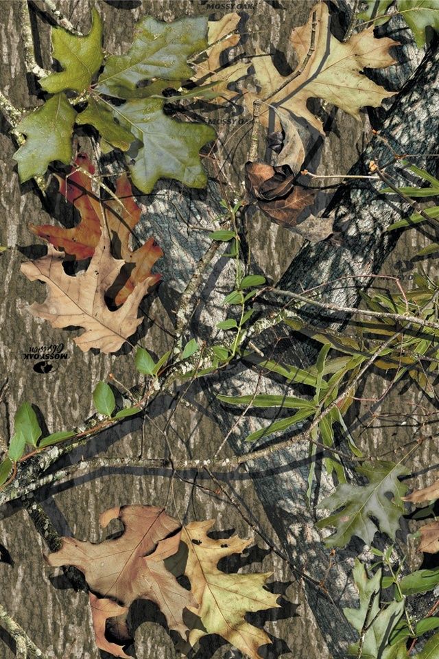 realtree iphone wallpaper,leaf,camouflage,tree,plant,grass
