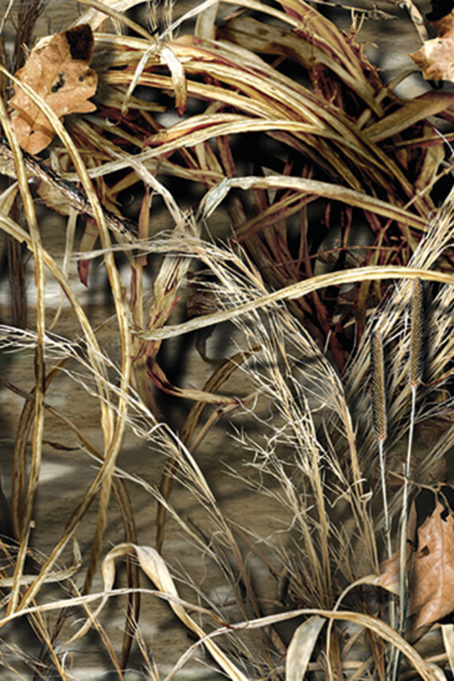 realtree iphone wallpaper,gras,grasfamilie,pflanze,zweig