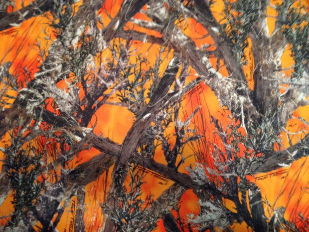 realtree迷彩柄の壁紙,オレンジ,ペインティング,現代美術,木,アクリル絵の具