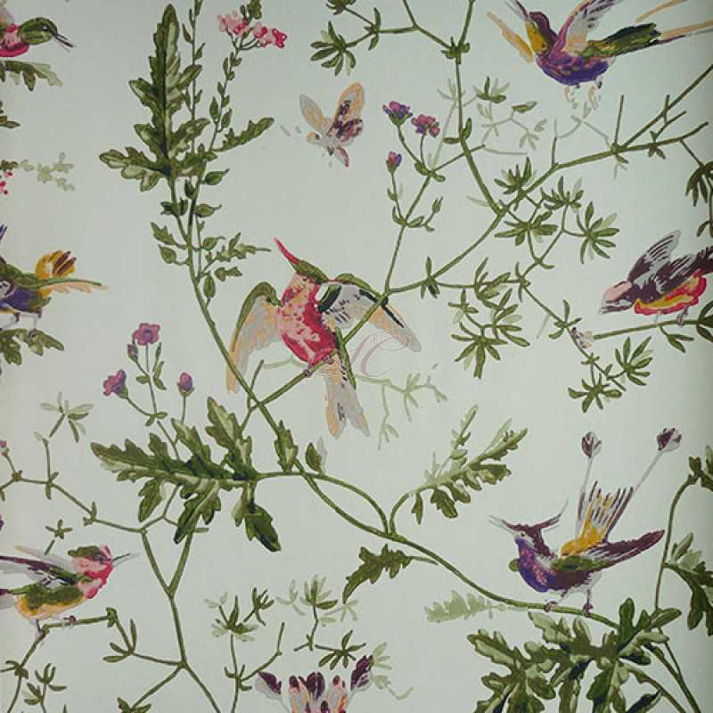 Cole And Son Hummingbird Wallpaper Vintage Bird Background WallpaperUse