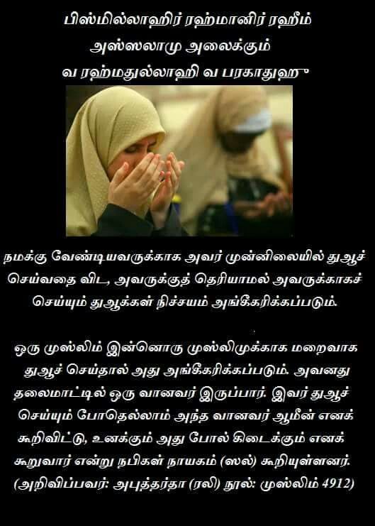 islamic quotes in tamil wallpapers,text,font,photo caption,organism,human