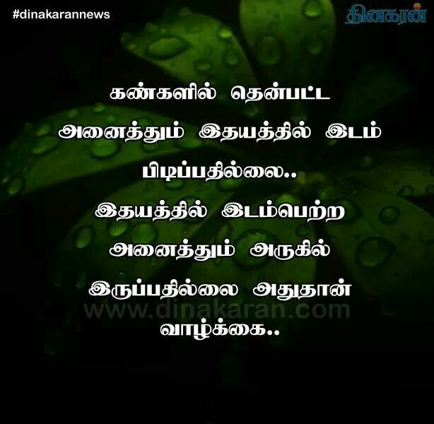 islamic quotes in tamil wallpapers,text,green,nature,leaf,font