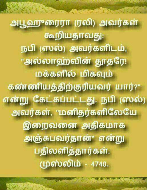 islamic quotes in tamil wallpapers,text,font,organism,adaptation,plant