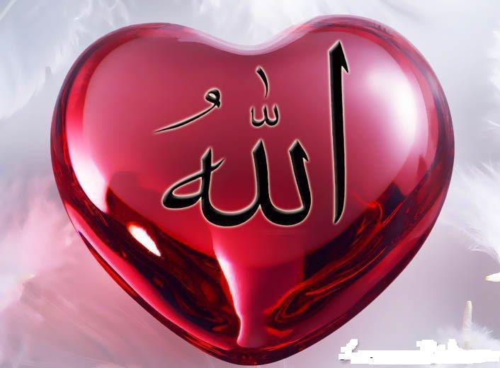 i love allah wallpaper,heart,red,love,valentine's day,organ