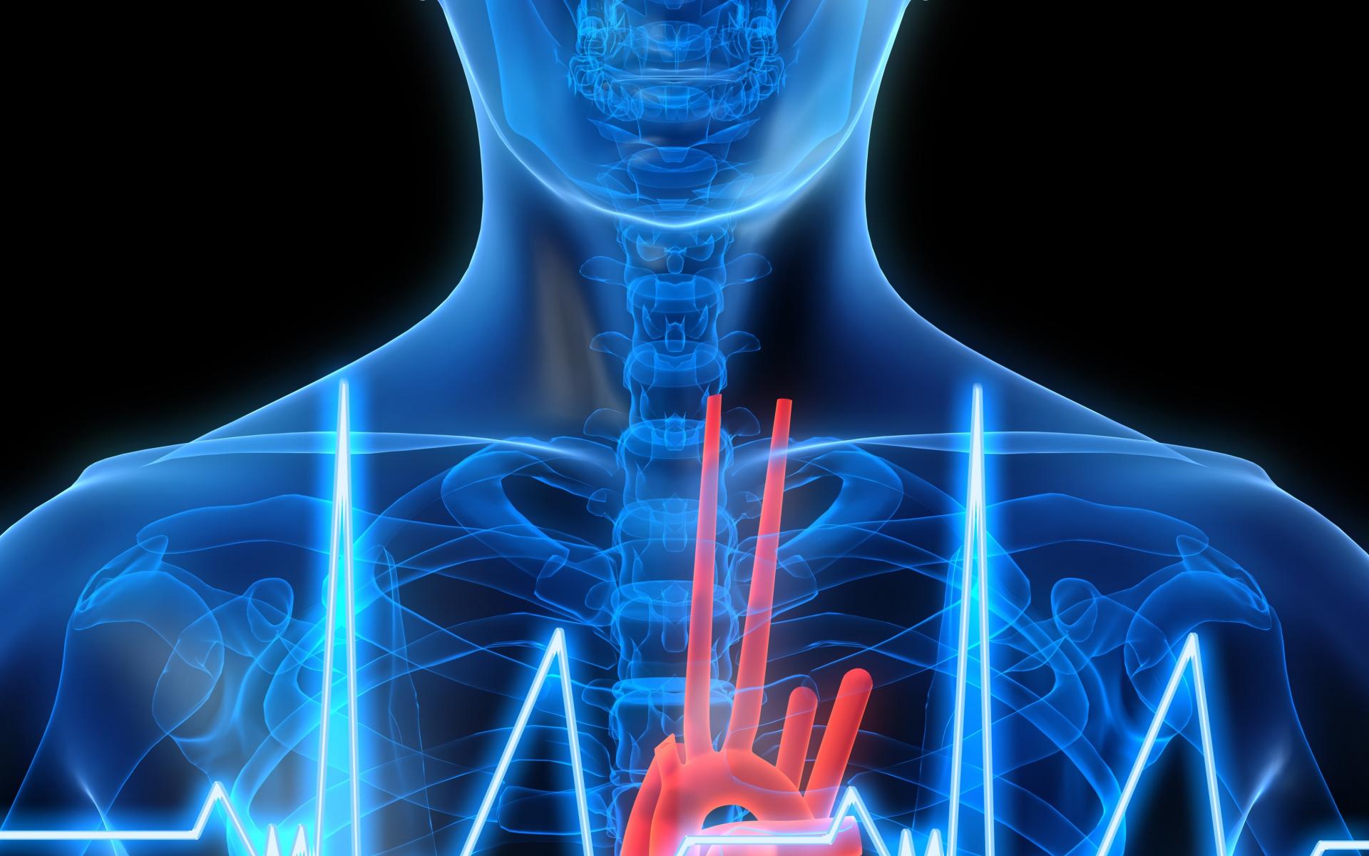 fond d'écran du corps humain,épaule,bleu électrique,corps humain,médical,nerf