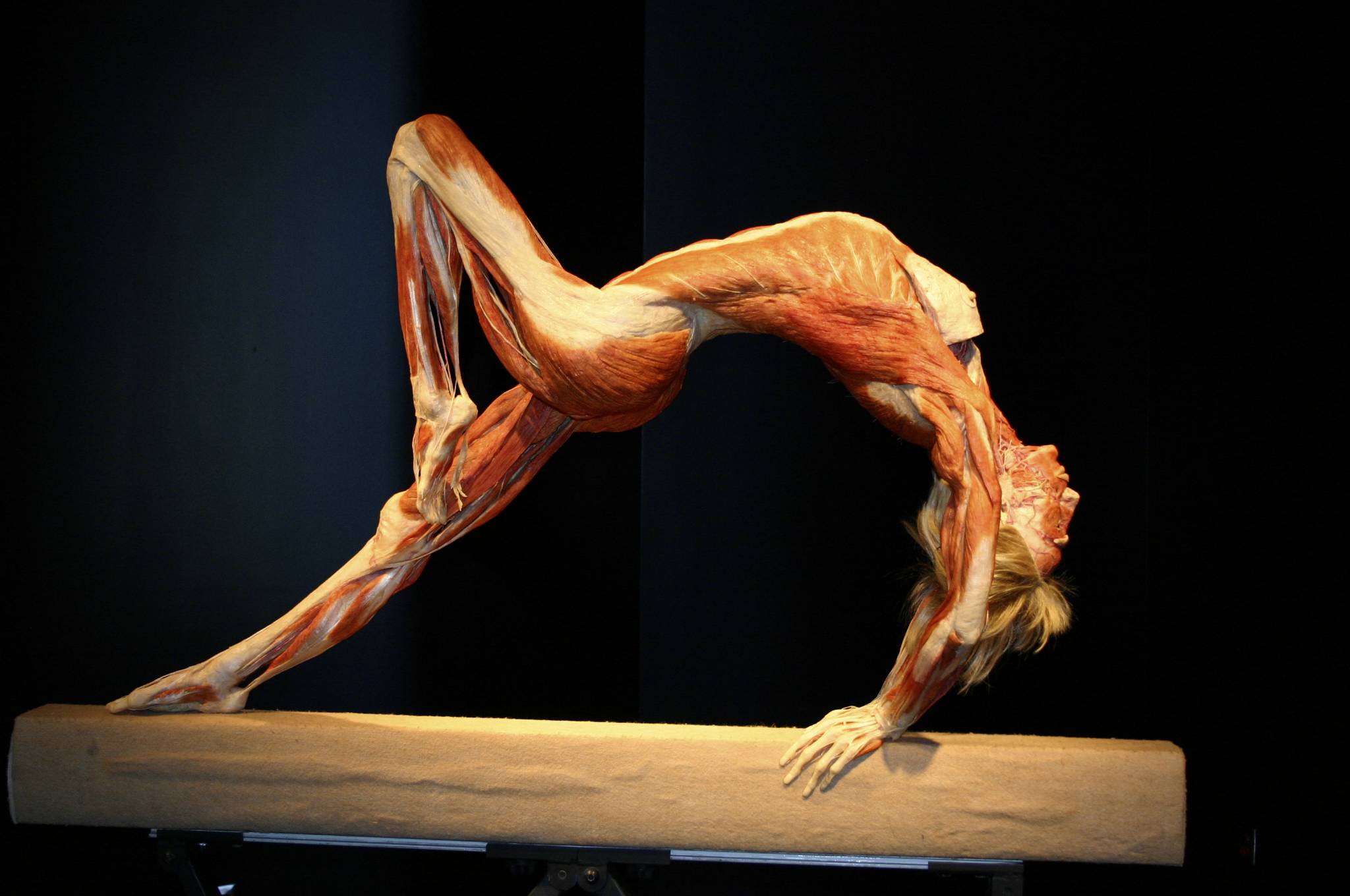 human body wallpaper,performance,acrobatics,muscle,joint,athletic dance move