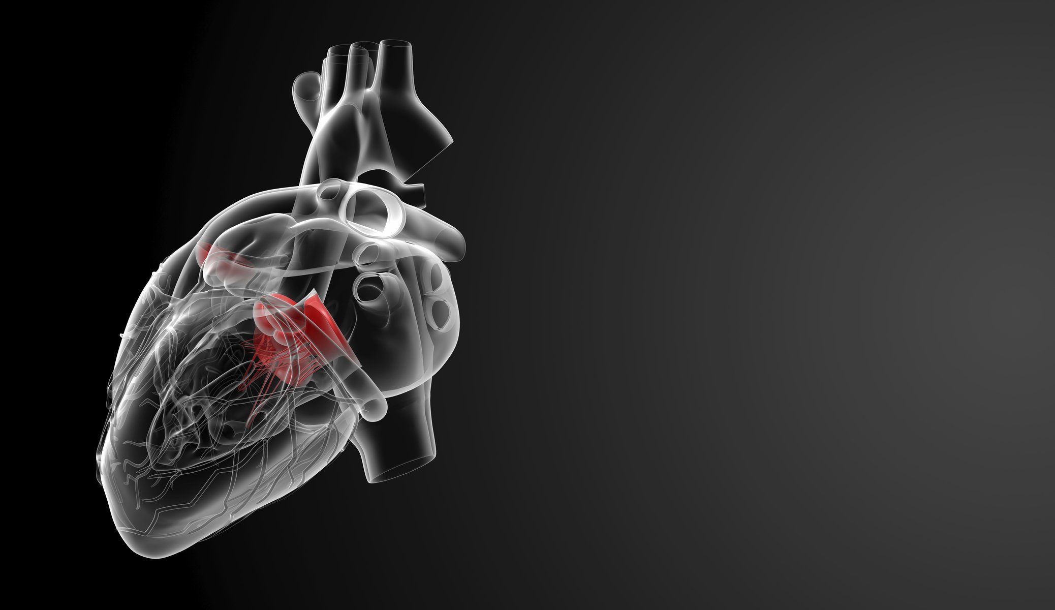 fond d'écran coeur humain,radiographie,main,fumée