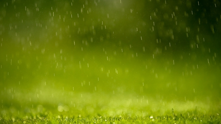 ruido de fondo,verde,naturaleza,agua,césped,hoja