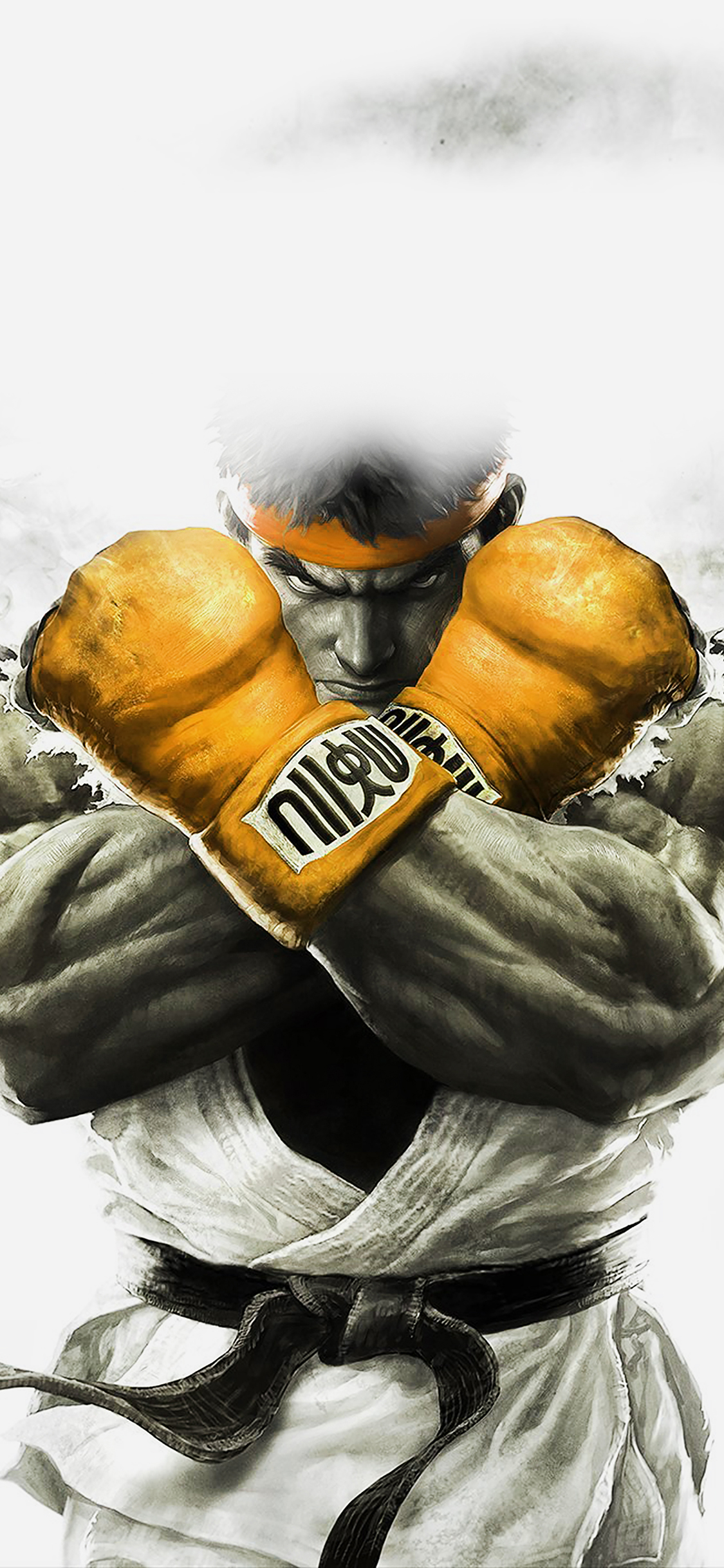street fighter fond d'écran iphone,gant de boxe,boxe,sports de combat saisissants,équipement sportif,illustration