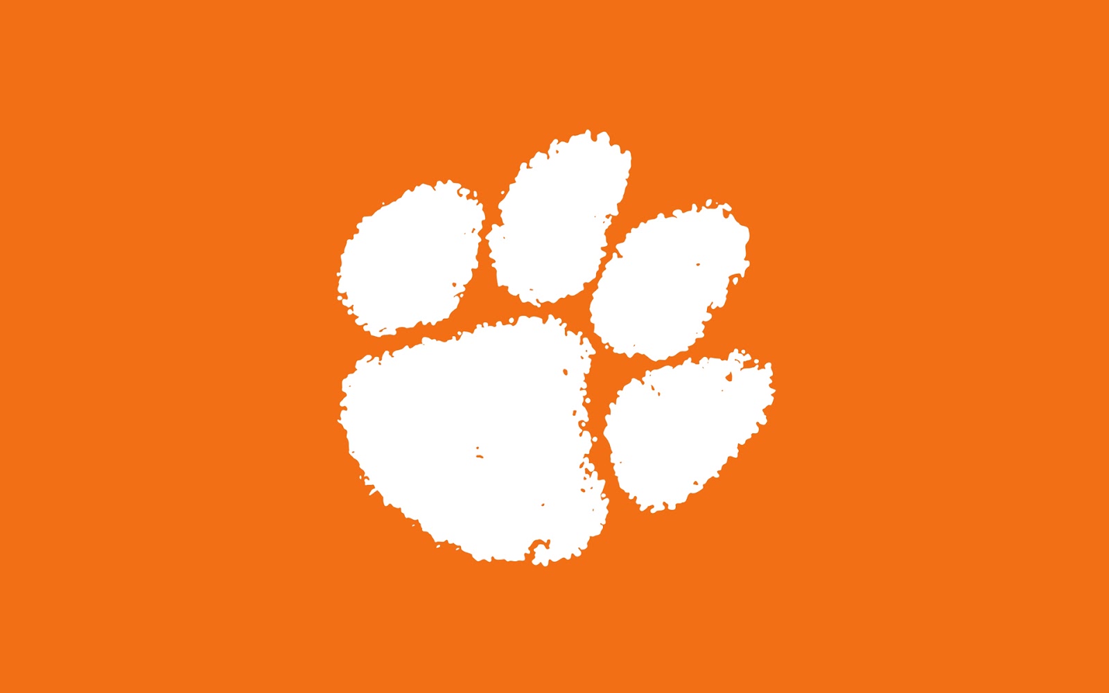 paw wallpaper,orange,logo,leaf,font,graphics