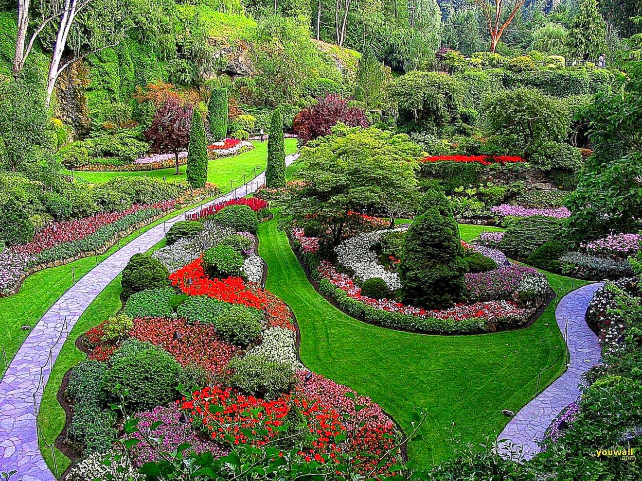 春の季節の壁紙,庭園,自然の風景,植物園,風景,工場