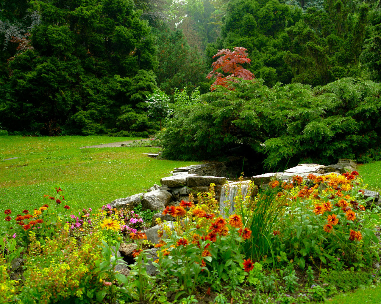 春の季節の壁紙,自然の風景,庭園,自然,植物園,工場