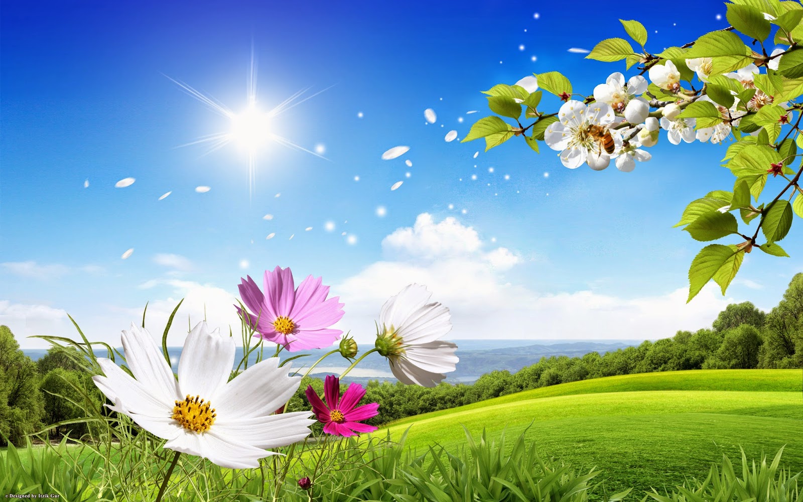 carta da parati stagione primaverile,paesaggio naturale,natura,cielo,fiore,giorno