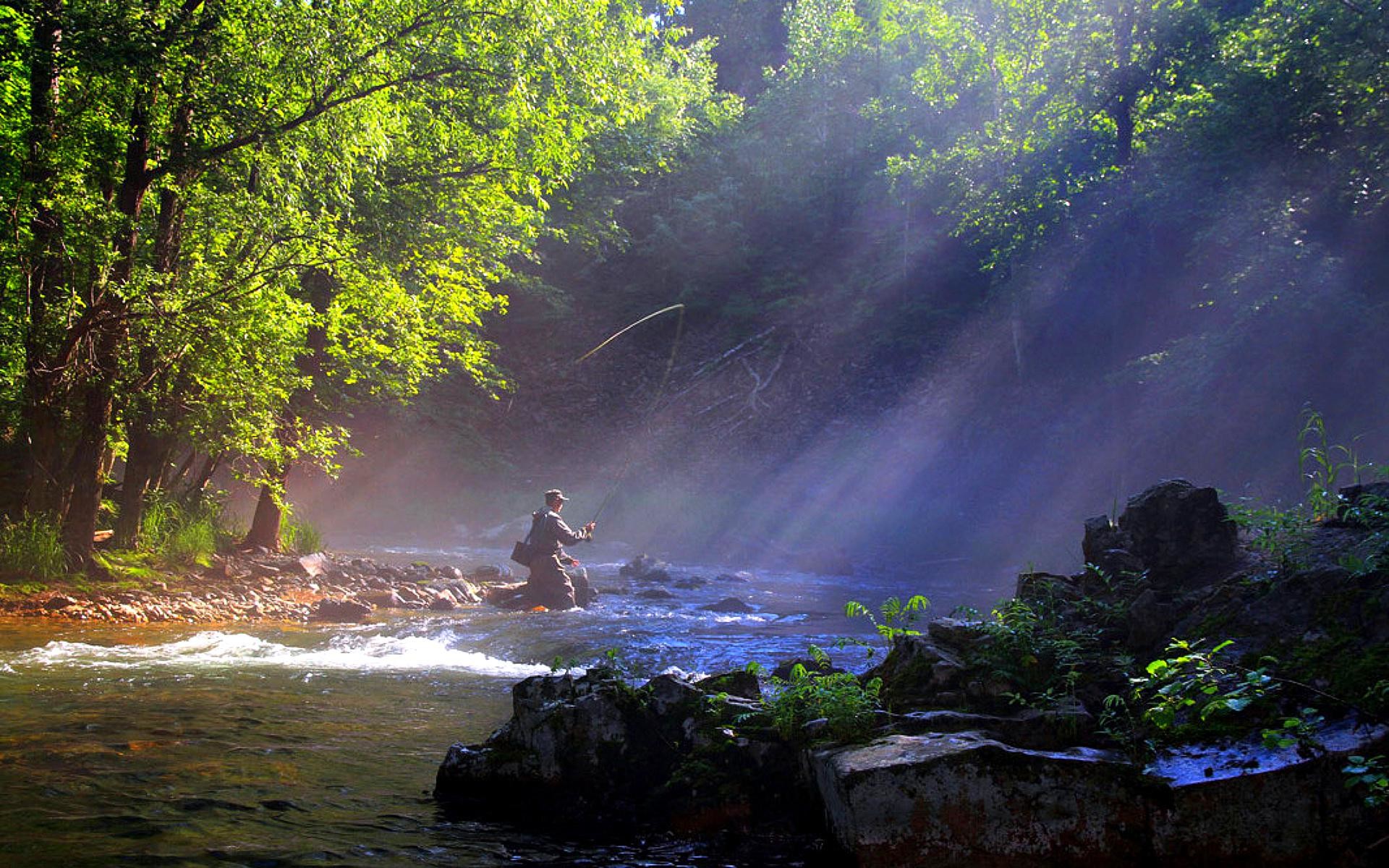 carta da parati pesca a mosca,natura,corpo d'acqua,paesaggio naturale,acqua,risorse idriche