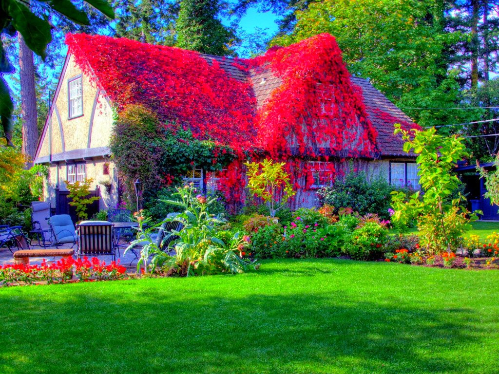 papier peint maison de jardin,la nature,jardin,cour,paysage naturel,pelouse