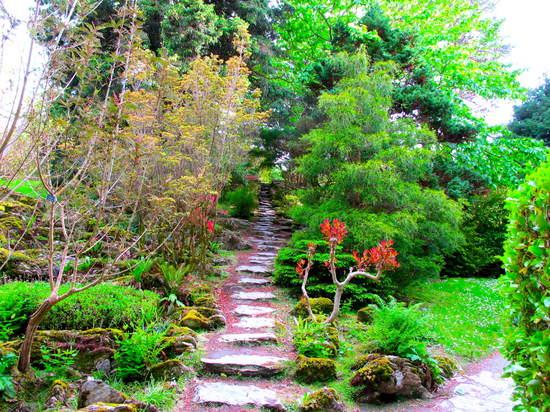 壁紙ガーデンハウス,自然,自然の風景,木,庭園,植物園