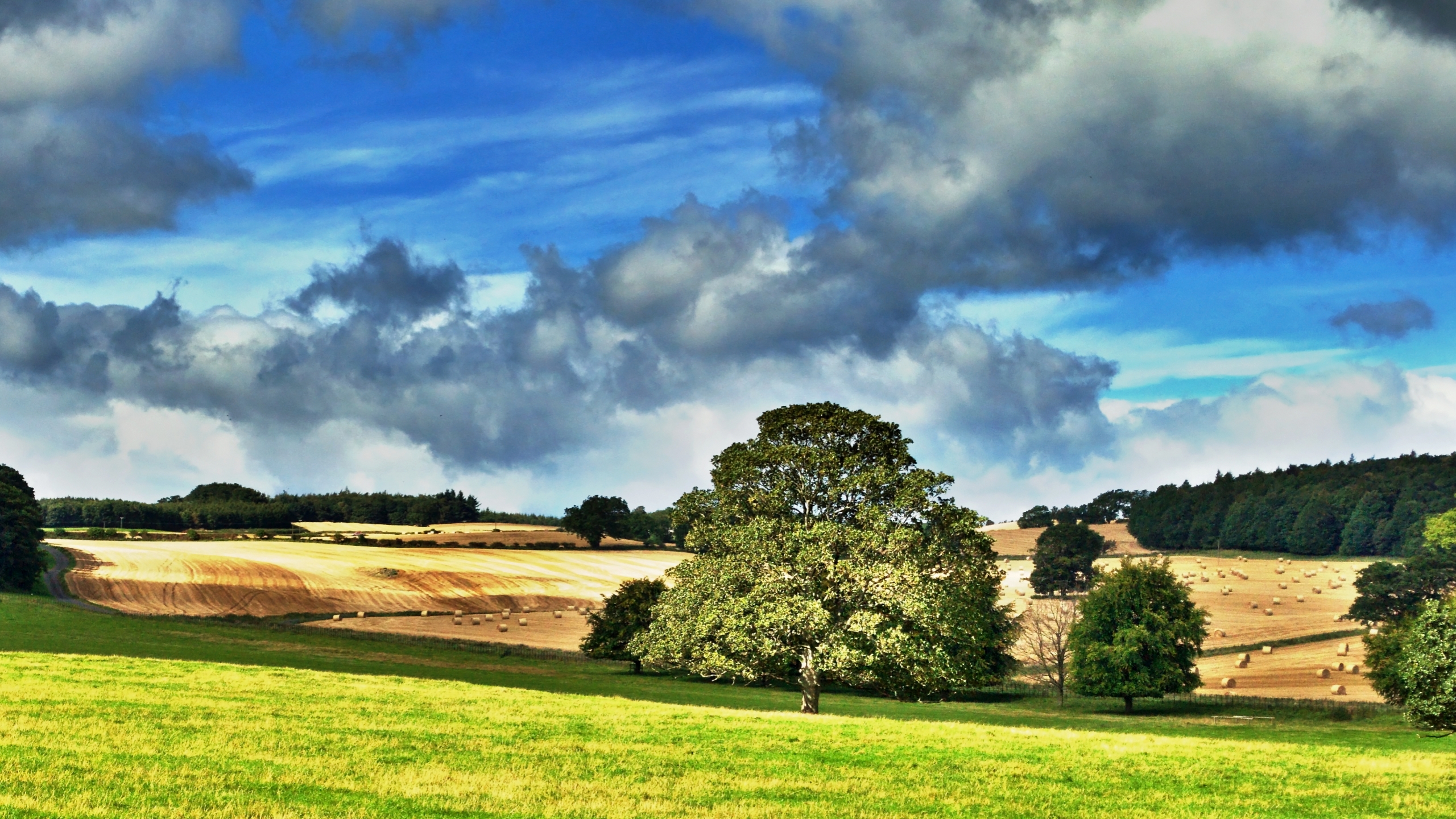 country scene wallpaper,sky,natural landscape,nature,cloud,grassland