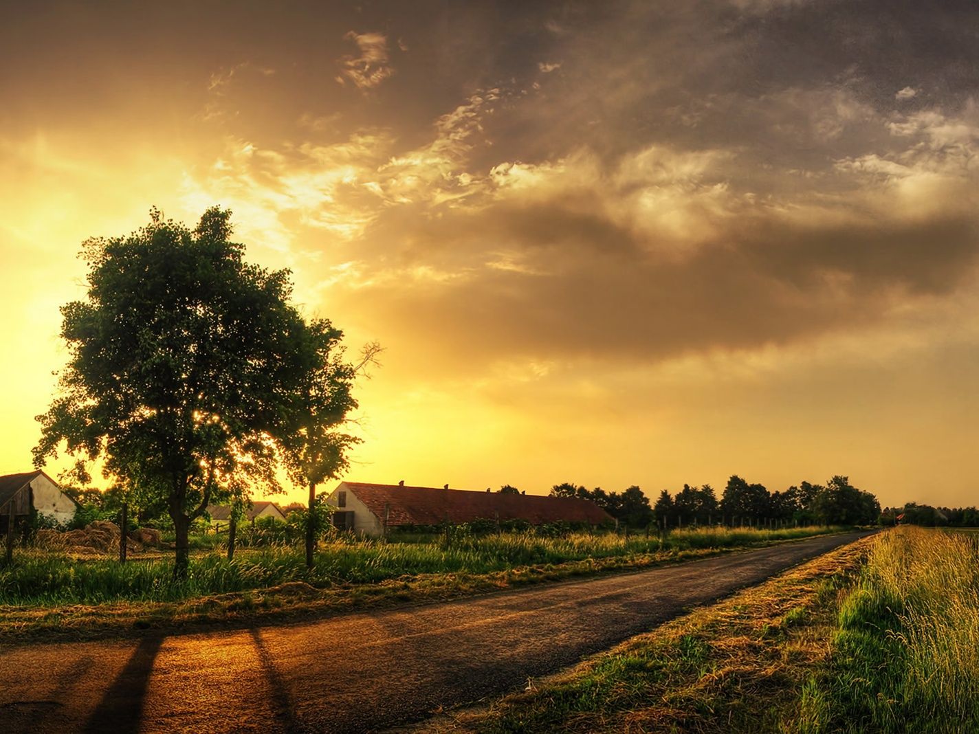 country scene wallpaper,sky,natural landscape,nature,cloud,tree