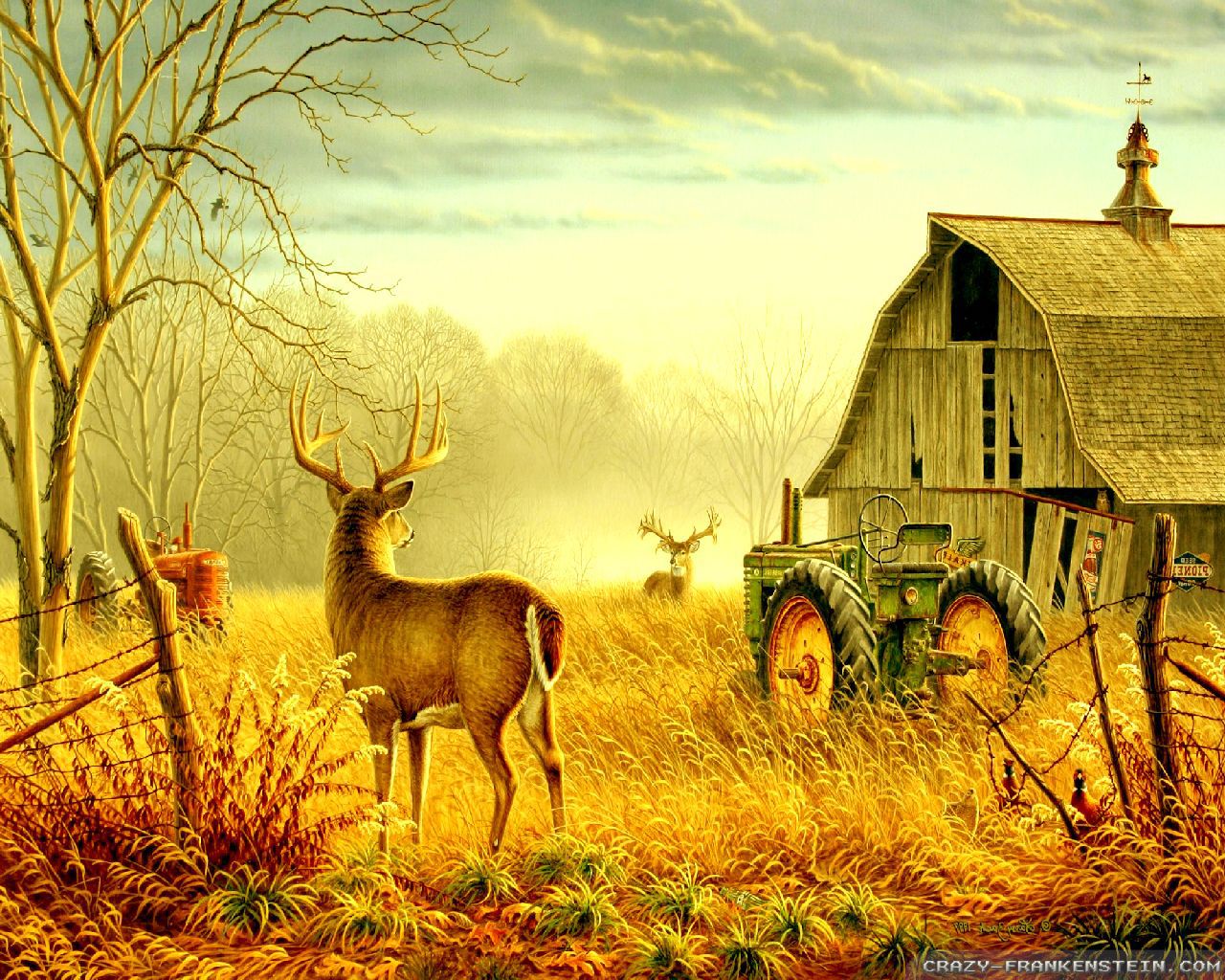 country scene wallpaper,wildlife,nature,deer,rural area,morning