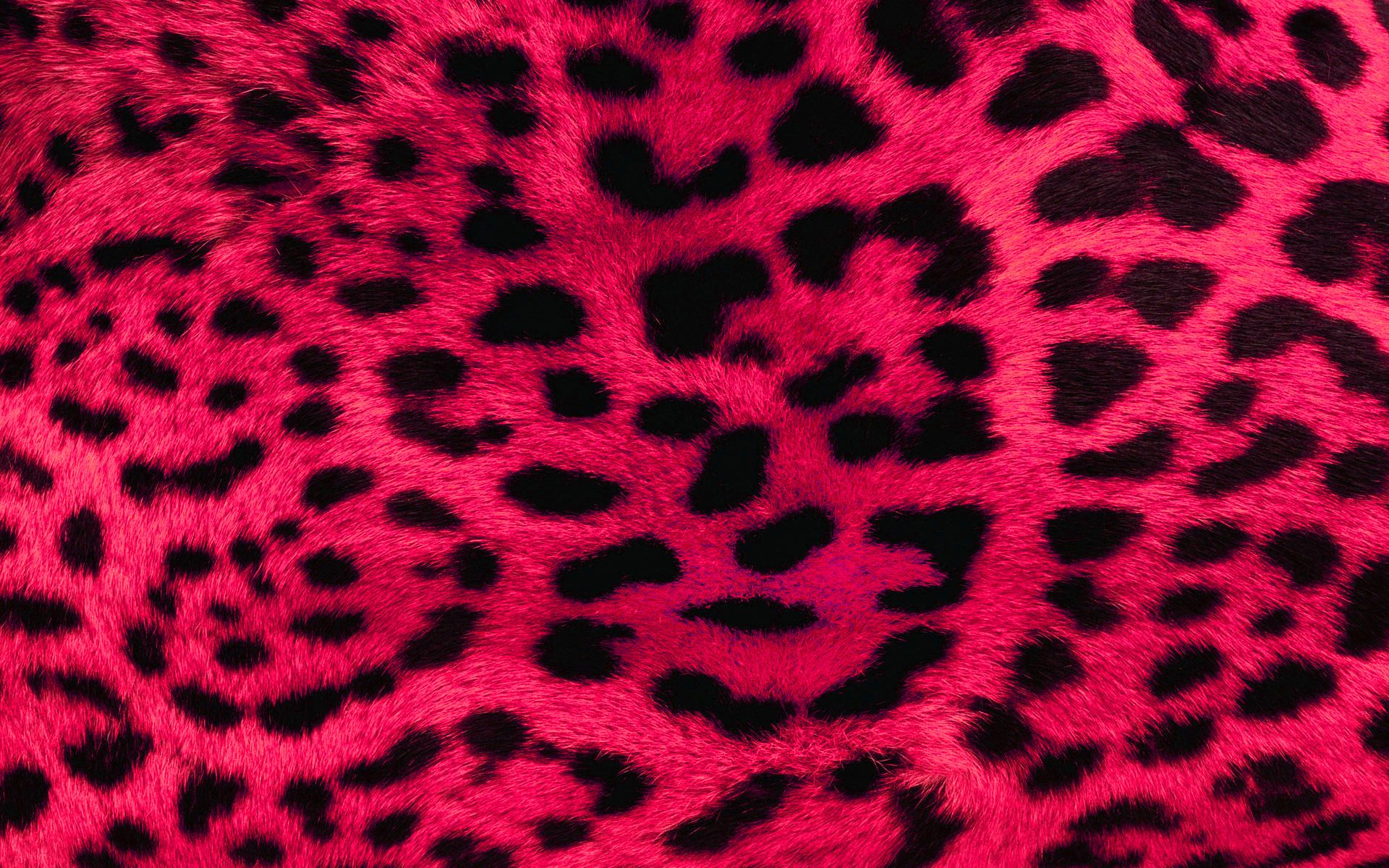 hd print wallpaper,pink,magenta,fur,pattern,textile