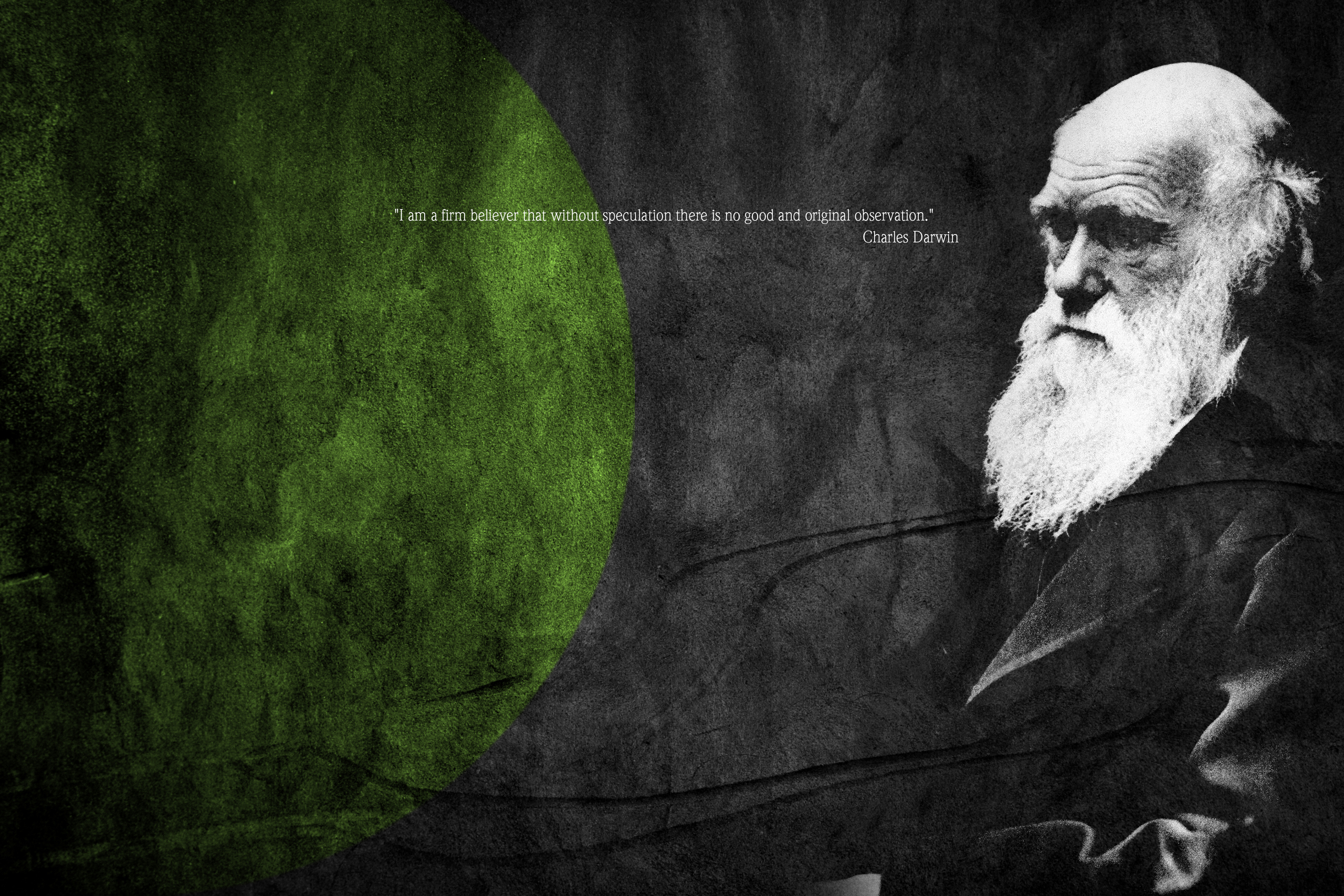 darwin wallpaper,illustration,font,art,beard,physicist
