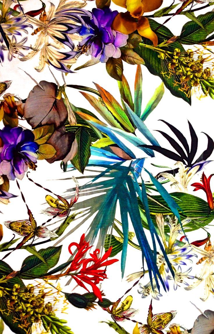 papel pintado estampado tropical,flor,planta,flor silvestre,modelo,diseño