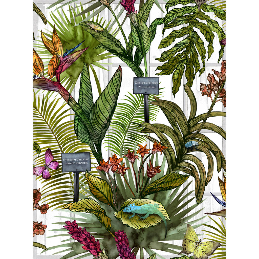 tropical print wallpaper,plant,flower,botany,terrestrial plant,flowering plant