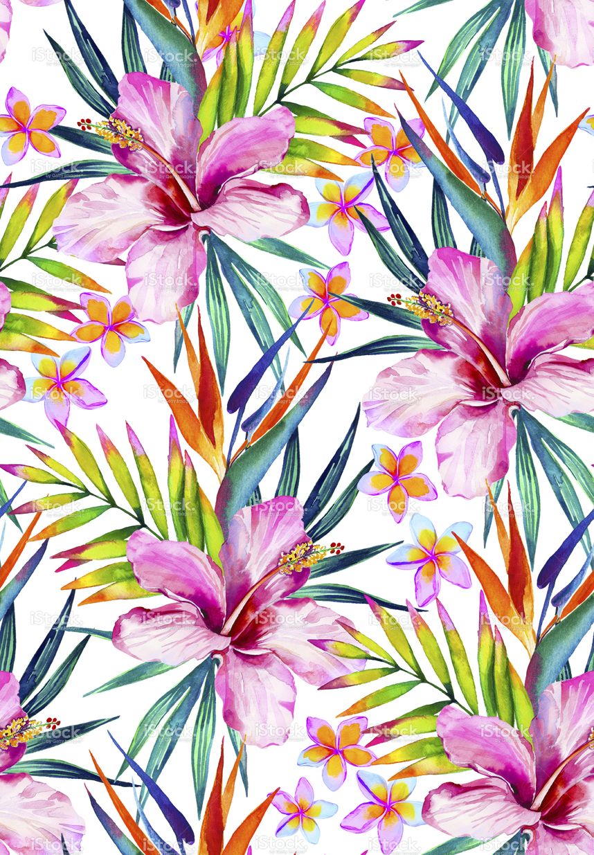 tropical print wallpaper,flower,pattern,plant,petal,design