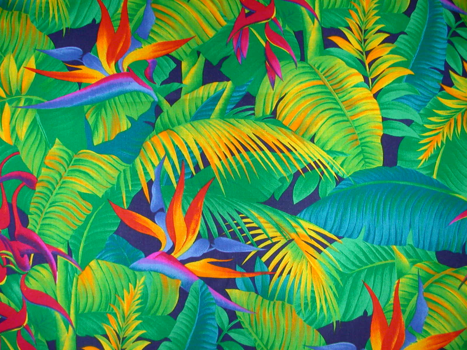 tropical print wallpaper,vegetation,leaf,green,organism,pattern