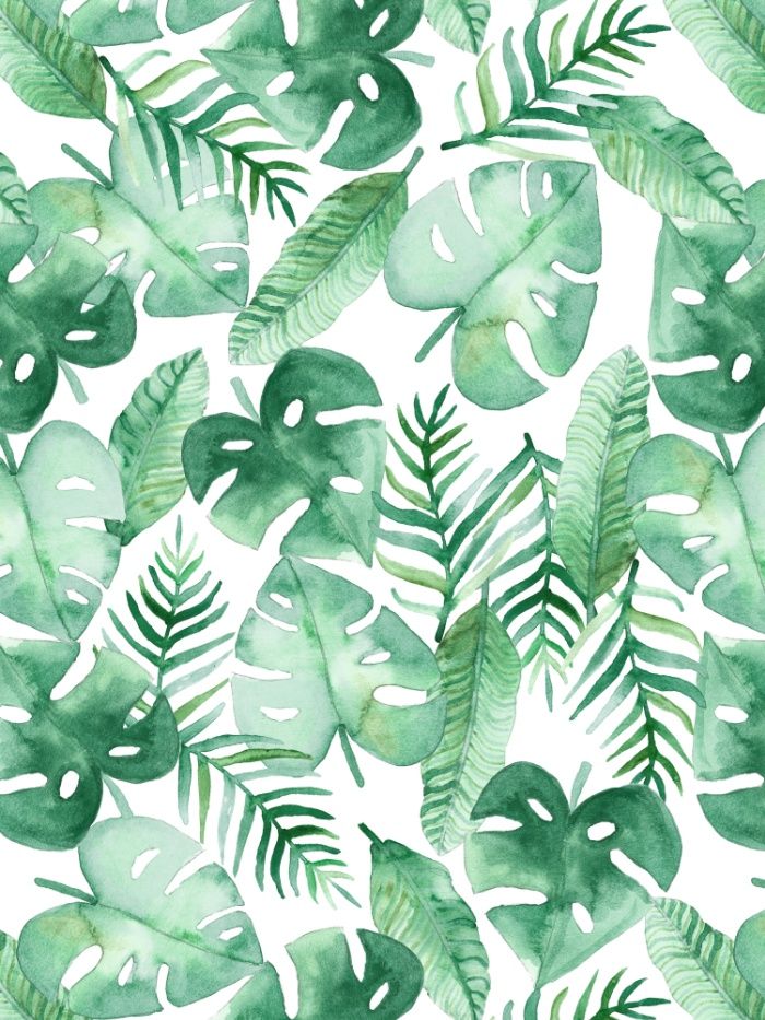 papel pintado estampado tropical,hoja,verde,planta,modelo,selva