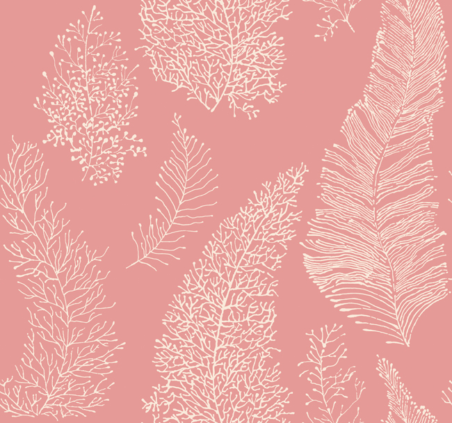 carta da parati color corallo,rosa,modello,sfondo,foglia,design