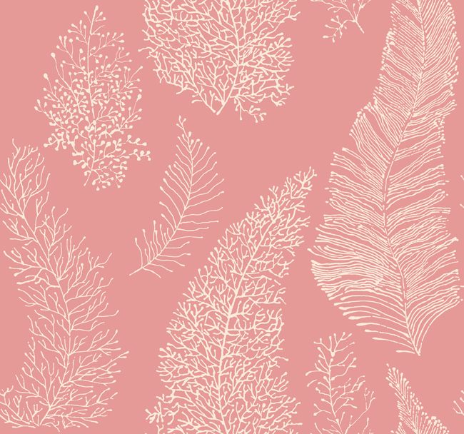 coral color wallpaper,pink,pattern,wallpaper,leaf,design (343687