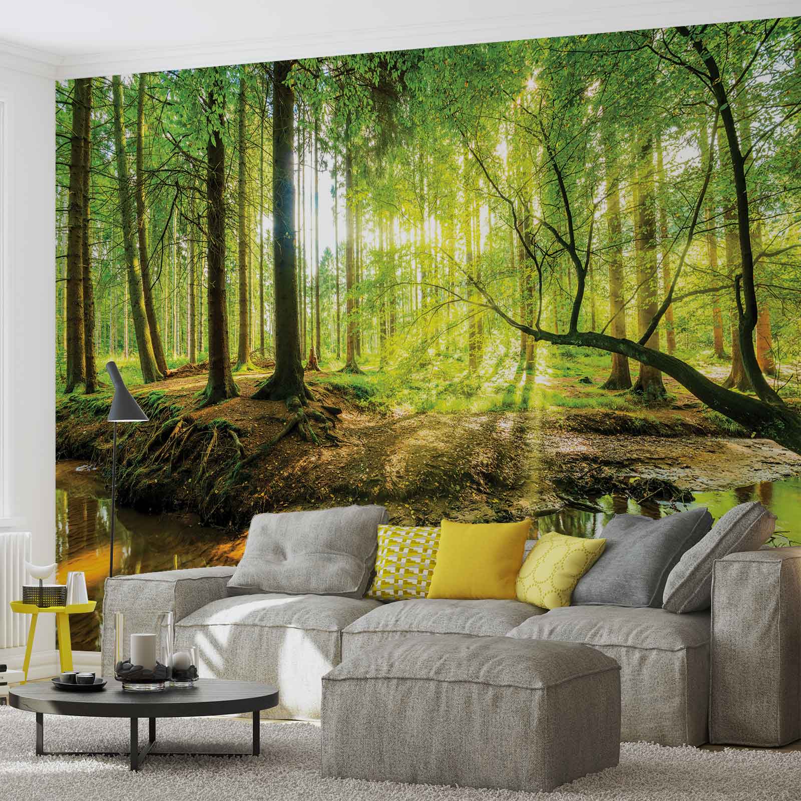 papier peint forêt pour murs,paysage naturel,la nature,vert,mur,arbre