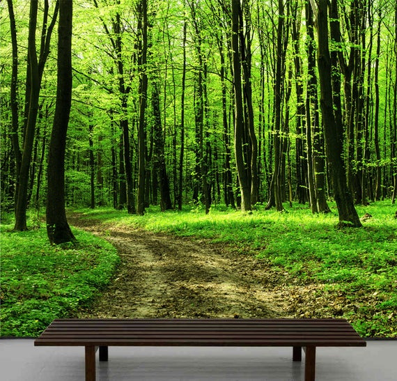 papel pintado forestal para paredes,paisaje natural,naturaleza,verde,árbol,mueble