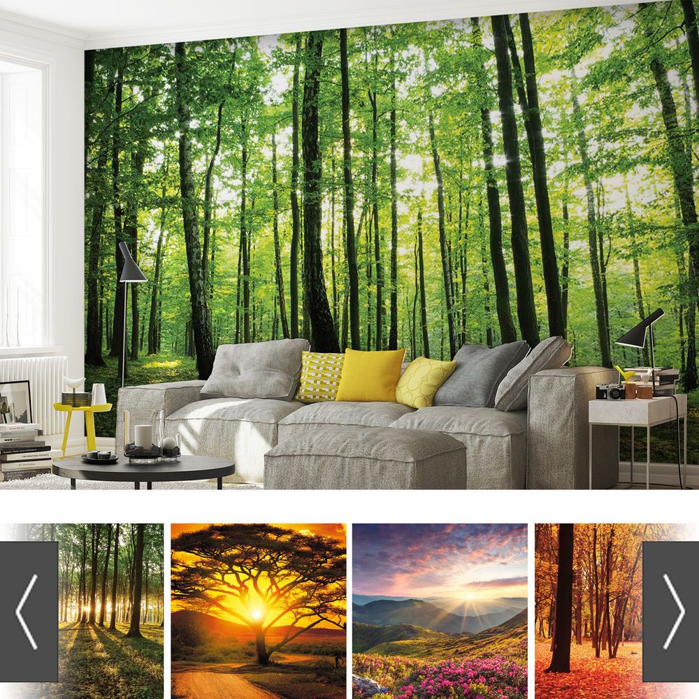 forest wallpaper for walls,natural landscape,nature,tree,natural environment,room
