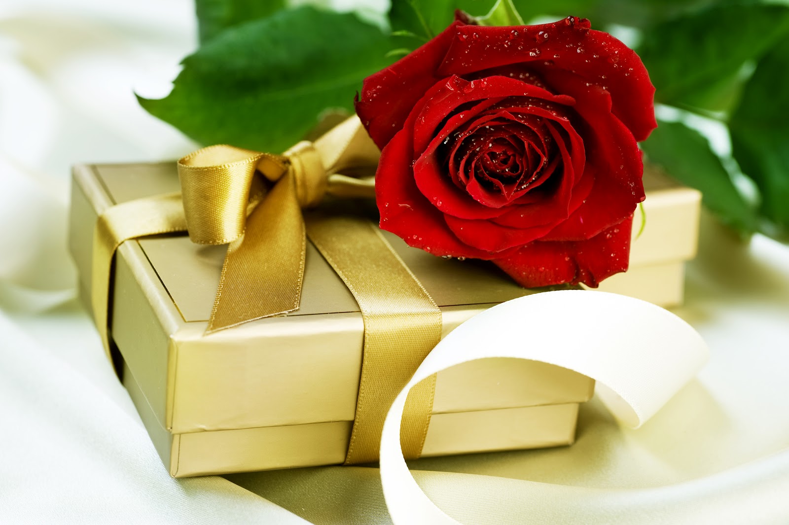 carta da parati regalo rosa,rosso,favore del partito,fiore,bomboniere,presente