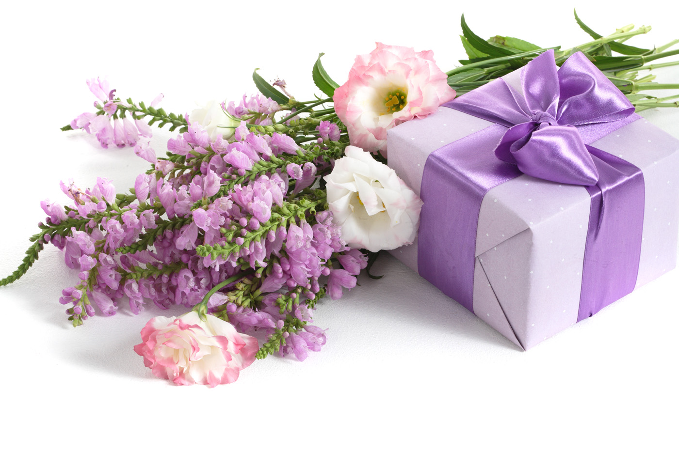 誕生日プレゼントの壁紙,花,ライラック,紫の,ラベンダー,バイオレット