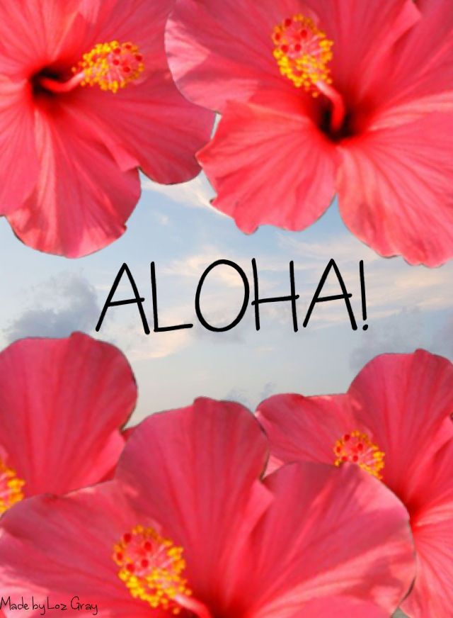 aloha wallpaper,hibiscus,flower,petal,chinese hibiscus,hawaiian hibiscus