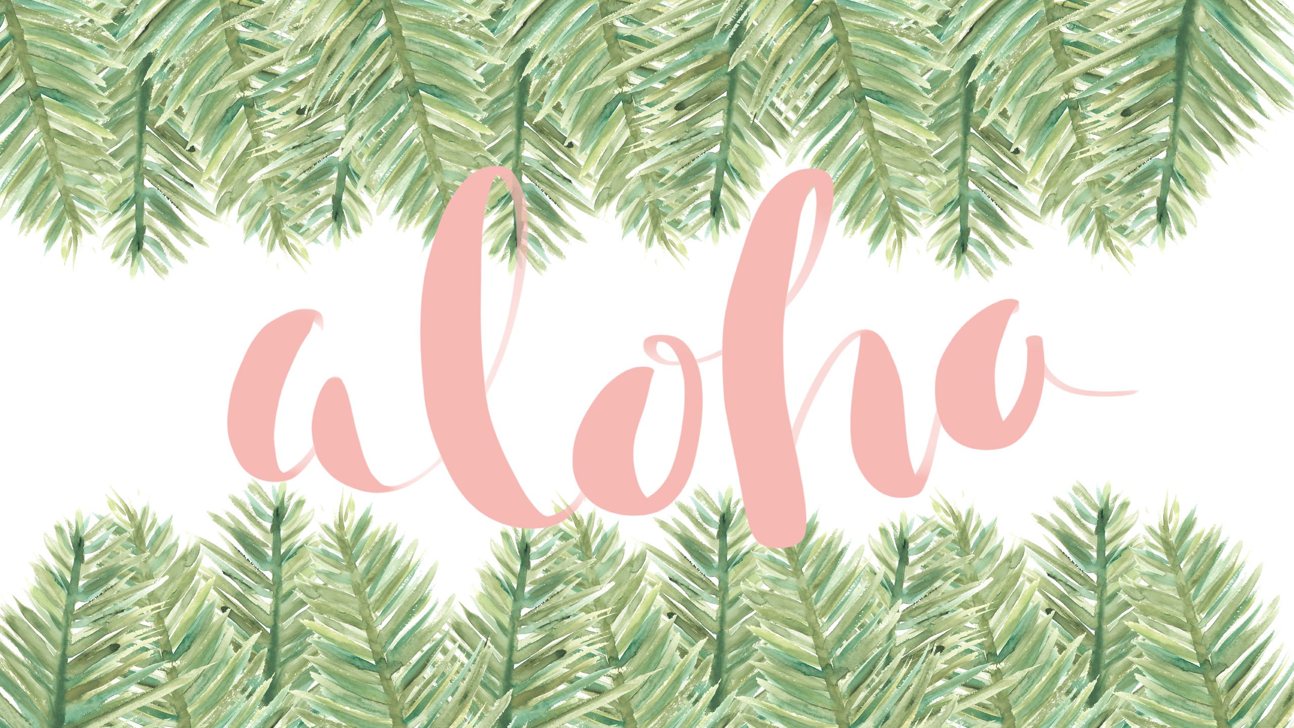 aloha wallpaper,shortleaf black spruce,colorado spruce,yellow fir,oregon pine,white pine