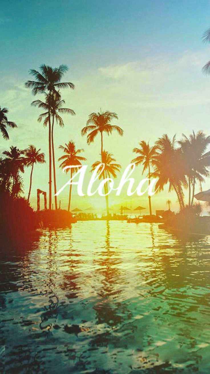 aloha wallpaper,nature,sky,palm tree,tree,tropics