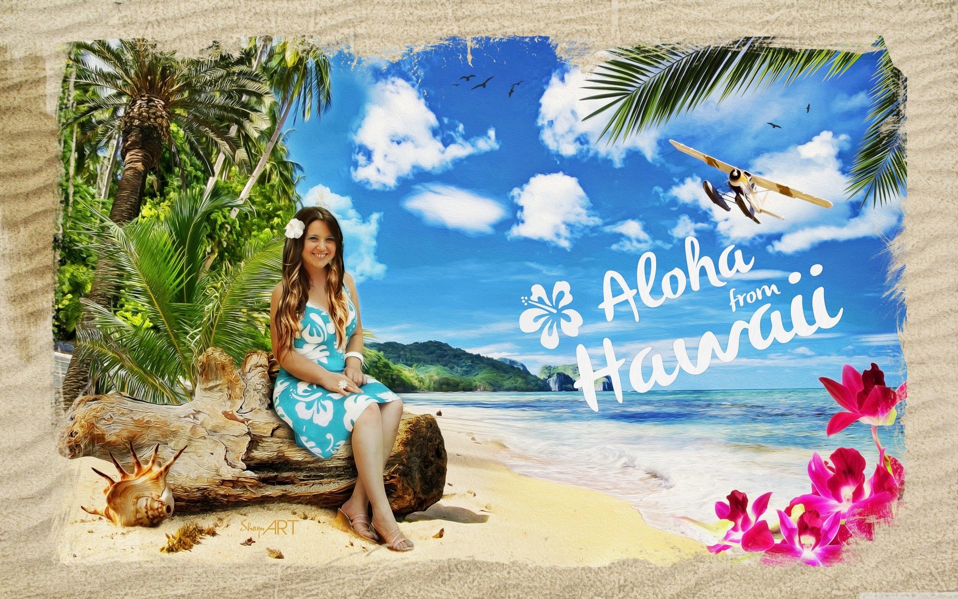 aloha tapete,sommer ,urlaub,karibik,baum,palme