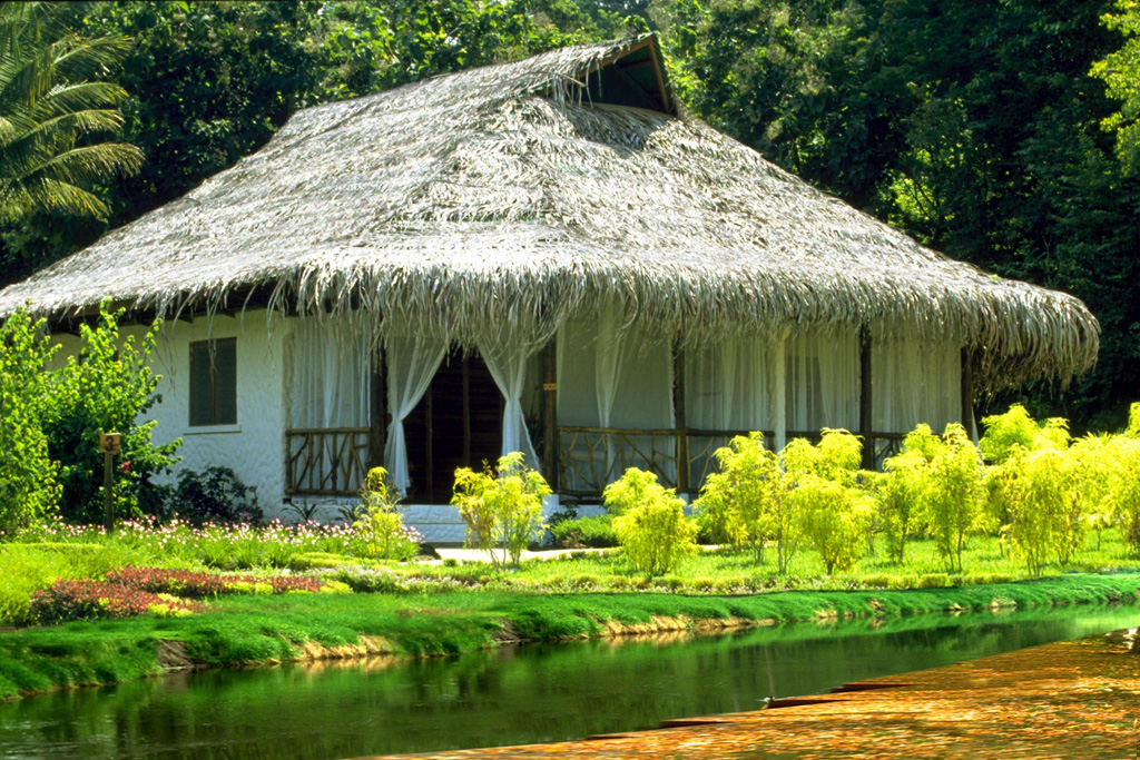 beautiful house wallpapers free download,thatching,natural landscape,hut,cottage,botany