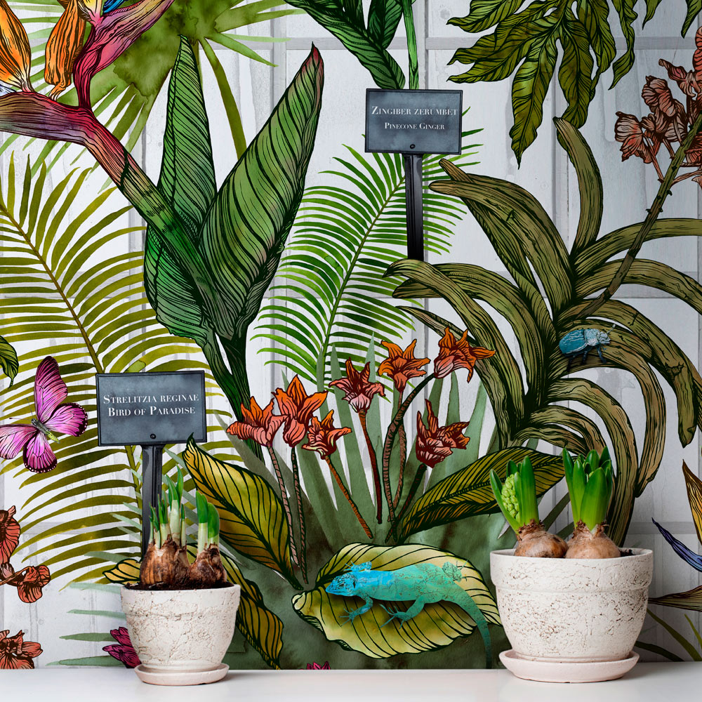 熱帯の壁紙英国 観葉植物 工場 植木鉢 花 葉 Wallpaperuse