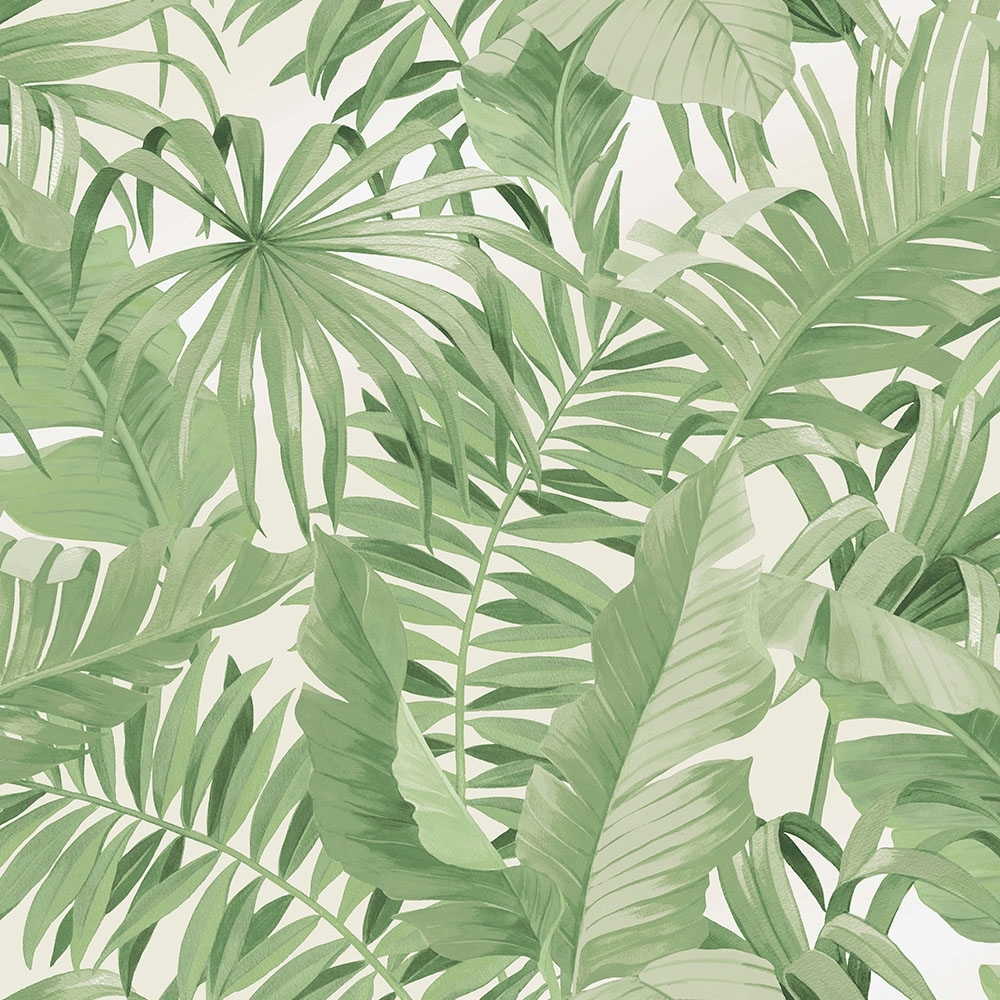 papier peint tropical royaume uni,monstera deliciosa,feuille,plante,fleur,plante à fleurs