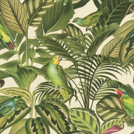 papier peint tropical royaume uni,oiseau,plante,feuille,fleur,perroquet