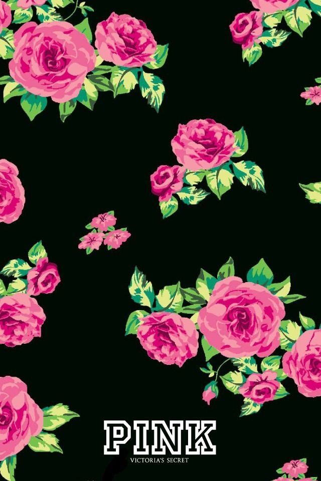 아이폰 5 핑크 배경 화면,꽃,분홍,장미,정원 장미,폰트
