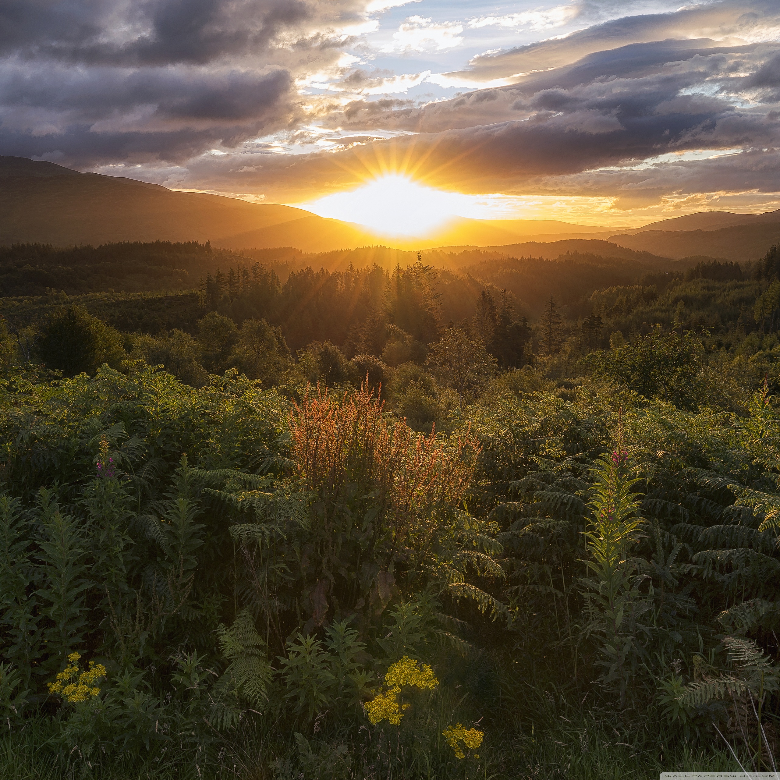 schottland iphone wallpaper,natur,natürliche landschaft,himmel,sonnenaufgang,sonnenlicht