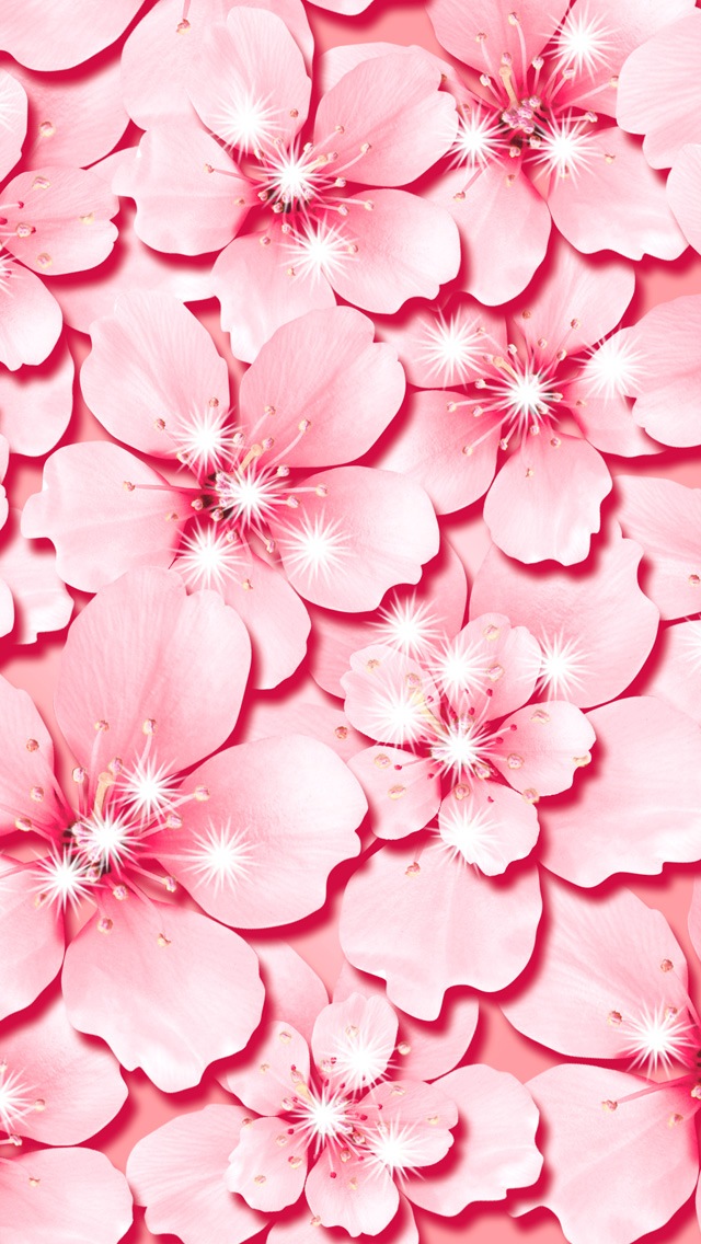 pink wallpaper for iphone 5,pink,petal,flower,blossom,plant